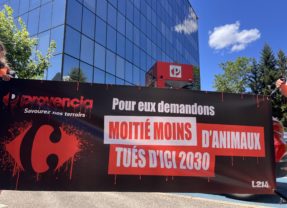 Les militants L214 exhortent Provencia à refuser de vendre des produits issus de l&rsquo;élevage intensif