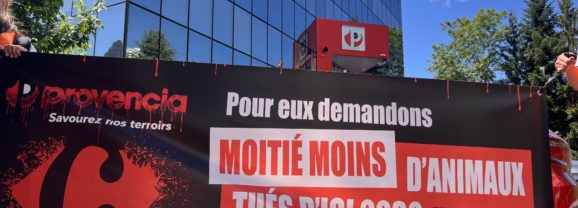 Les militants L214 exhortent Provencia à refuser de vendre des produits issus de l&rsquo;élevage intensif