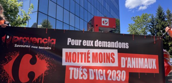 Les militants L214 exhortent Provencia à refuser de vendre des produits issus de l&rsquo;élevage intensif