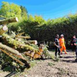 Chantier de l’A412 dans le Chablais : passage en force et droit de travers