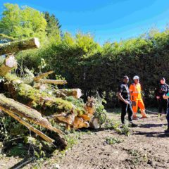 Chantier de l’A412 dans le Chablais : passage en force et droit de travers