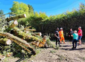 Chantier de l’A412 dans le Chablais : passage en force et droit de travers