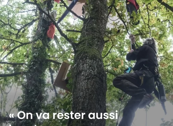 En ce moment, « les écureils », opposés à l&rsquo;A412 sont évacués des arbres par les forces de l&rsquo;ordre