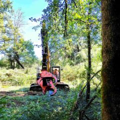 A412 dans le Chablais : victoire partielle pour les opposants !