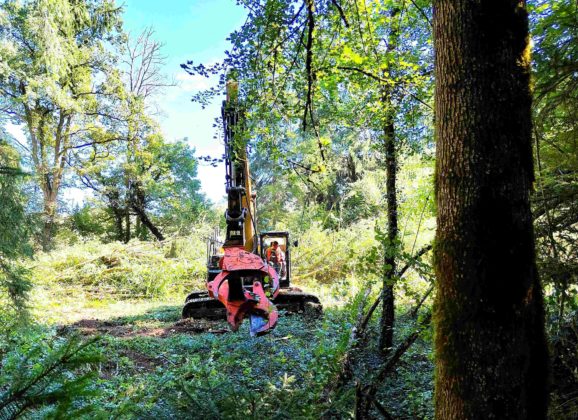 A412 dans le Chablais : victoire partielle pour les opposants !